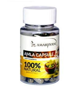 Amarjivani Amla 60 Cap | Rich in Vitamin C | Effective Antioxidants for Immunity Boosting | Promotes Skin Health