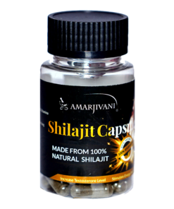 Amarjivani Shilajit 30 Cap | For Strength, Stamina & Power | 100% Ayurvedic Supplement for Boosting Energy